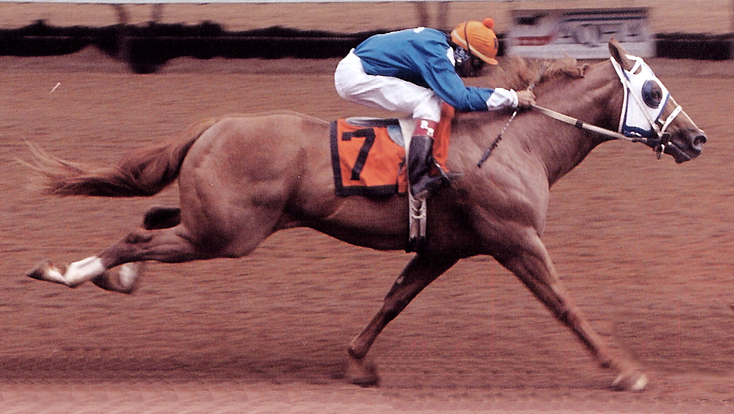 VIS Race